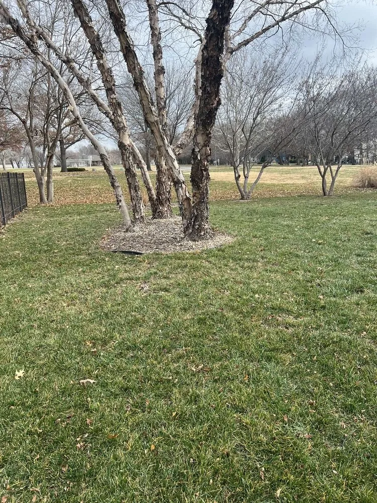 Professional lawn mowing service for homes across Wichita, KS - Fhs Lawn And Project