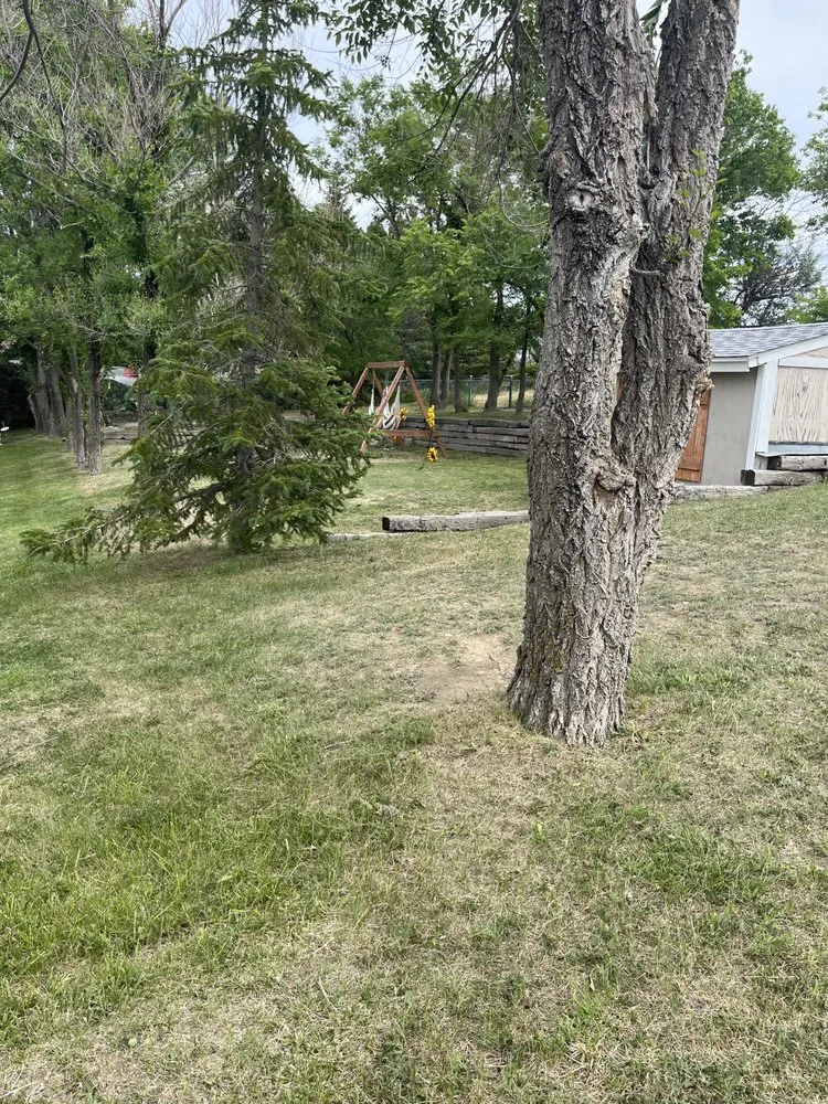 Expert lawn care service for beautiful yards across Gillette, WY - Fichter Farms