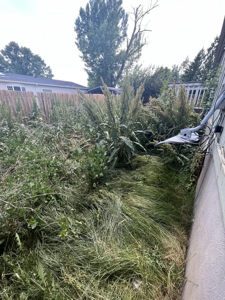 Expert lawn care service for beautiful yards across Gillette, WY - Fichter Farms