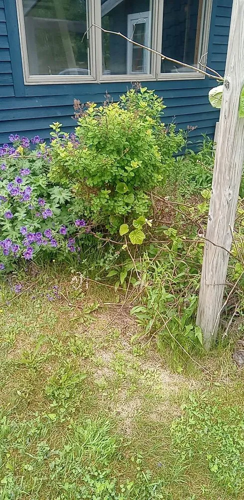 Custom outdoor landscaping for beautiful yards in Milbridge, ME by Fickett Lawncare and Snow Removal