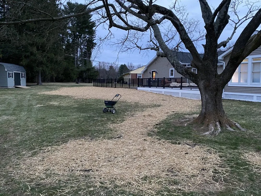 Reliable landscape design experts serving Ellicott City, MD - Fickner Lawn and Landscaping