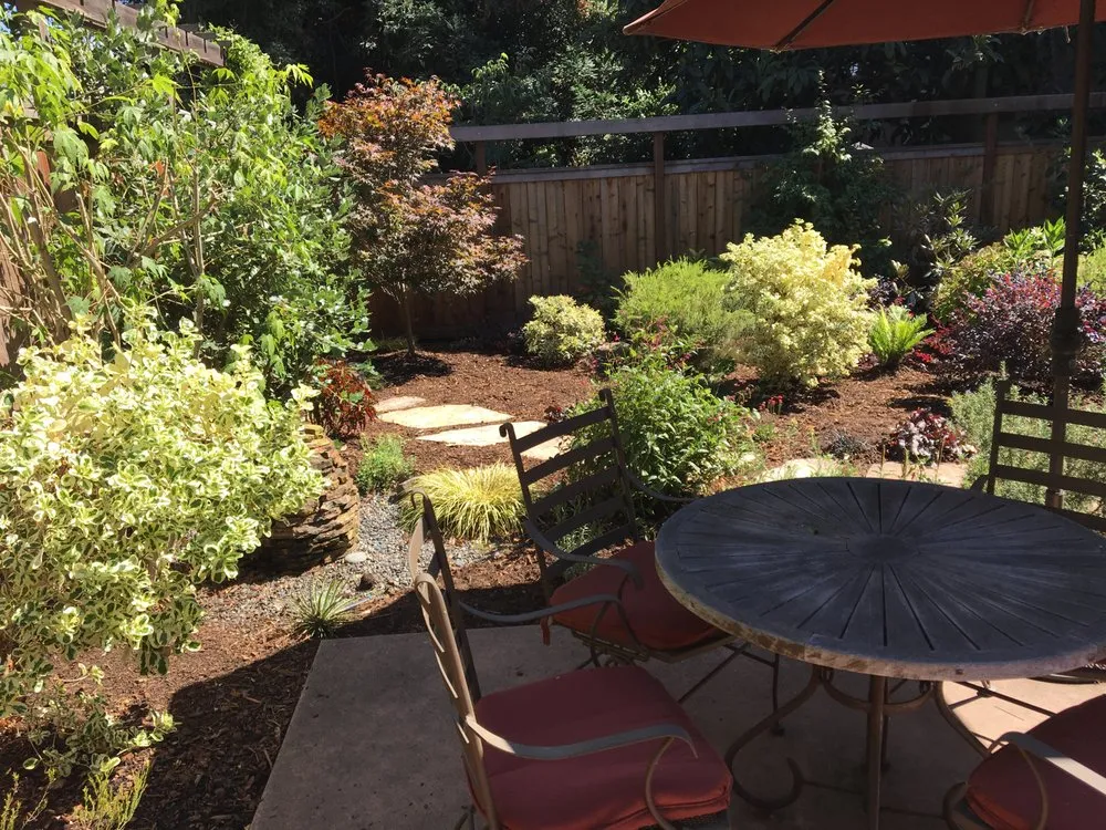 Professional yard cleanup service in Berkeley, CA - Fiddlehead Gardens