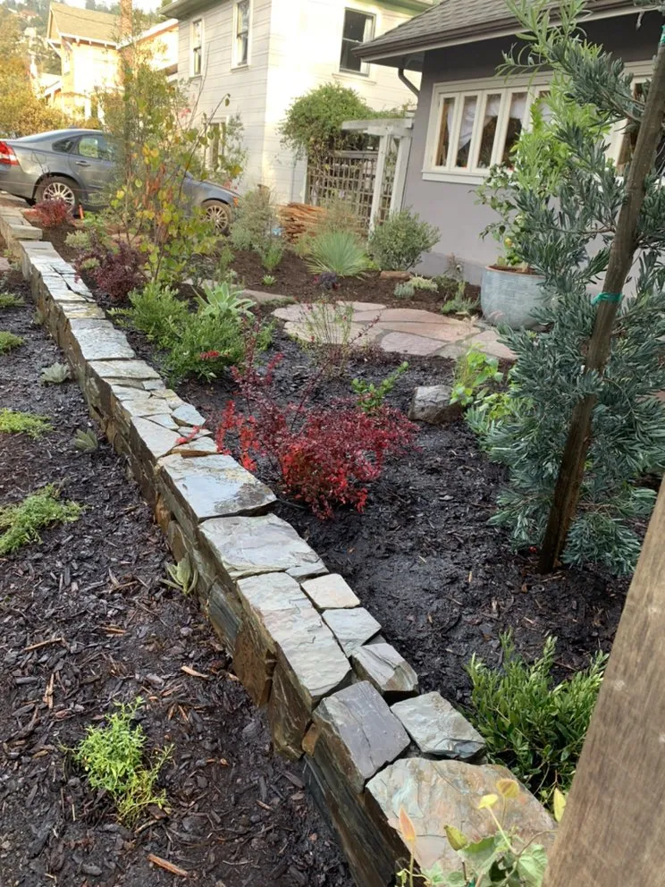 Top-rated yard cleanup service experts serving Berkeley, CA - Fiddlehead Gardens