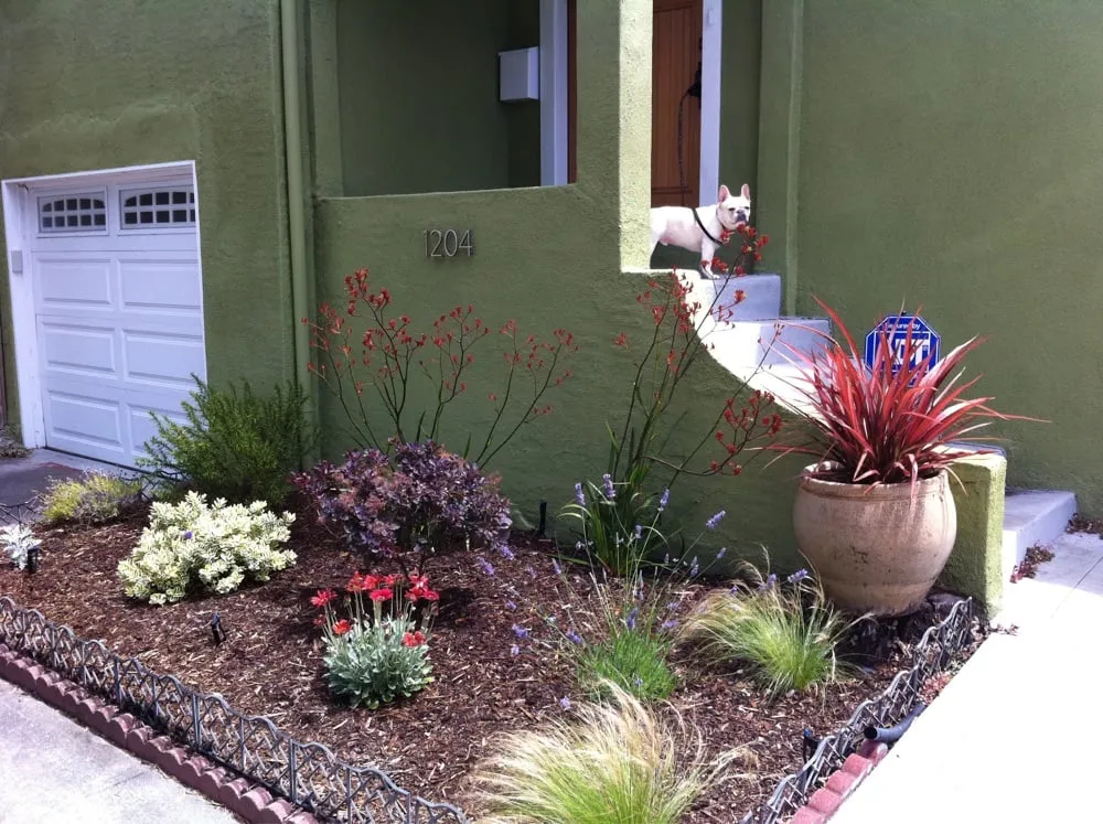 Local landscaping services in Berkeley, CA - Fiddlehead Gardens