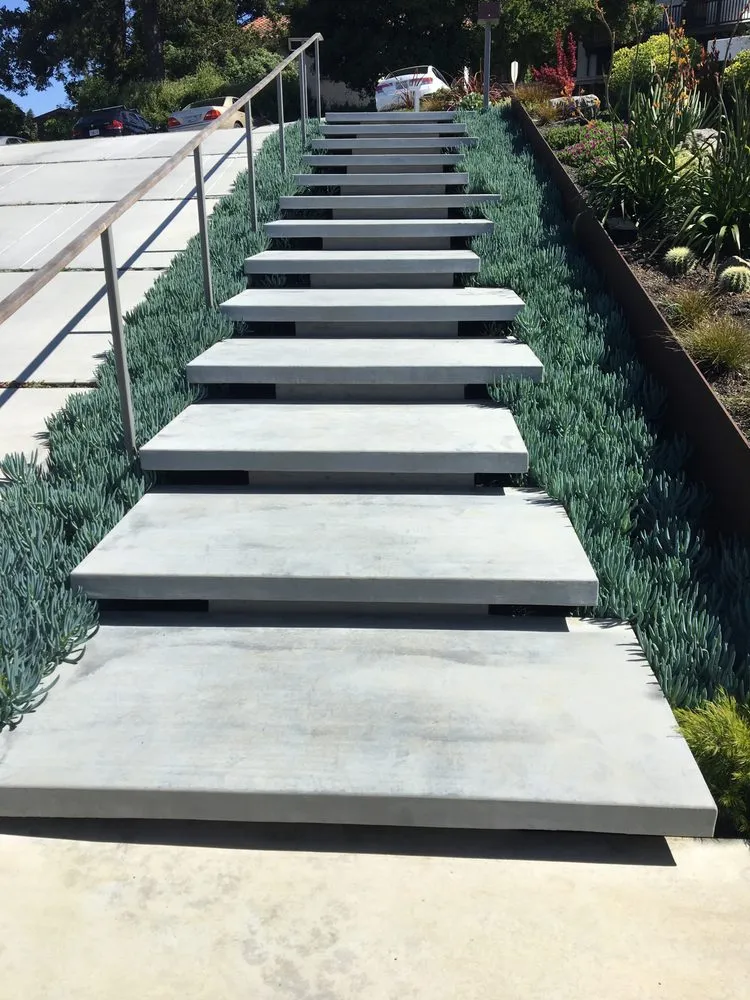 Reliable lawn care service in Berkeley, CA - Fiddlehead Gardens