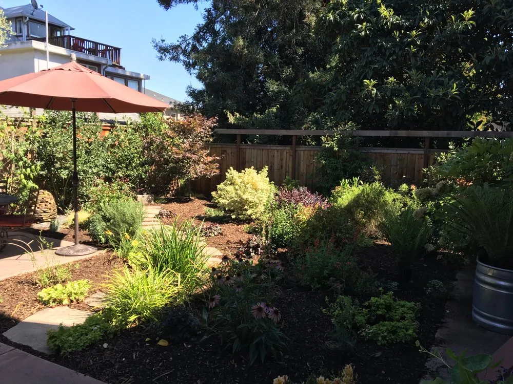 Top-rated landscaping services for outdoor upgrades in Berkeley, CA by Fiddlehead Gardens