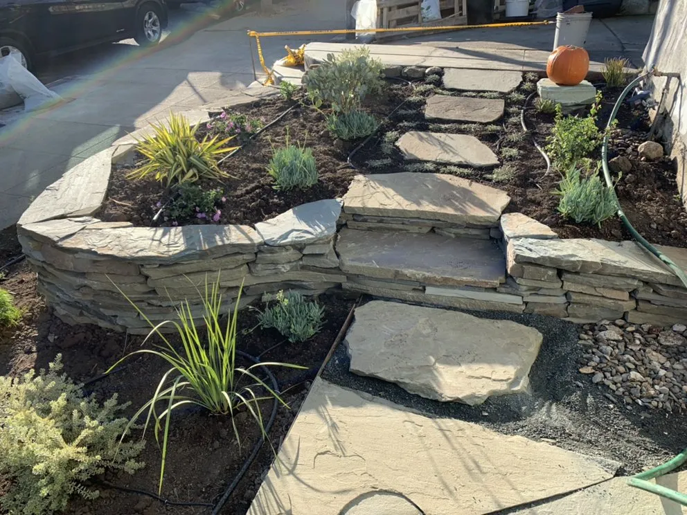 Custom outdoor landscaping in Berkeley, CA - Fiddlehead Gardens
