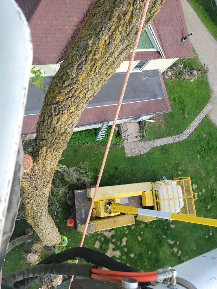 Expert yard maintenance for year-round maintenance across Beaver Dam, WI - Fiddler's Green Lawn Care & Snow Removal