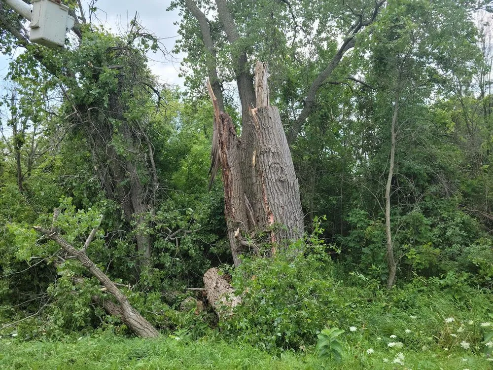 Affordable landscape design in Beaver Dam, WI - Fiddler's Green Lawn Care & Snow Removal