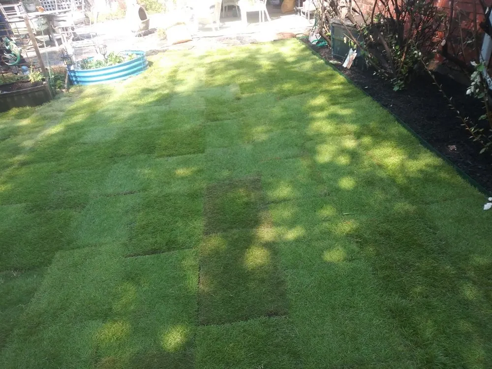 Local lawn care service in Arlington, TX by Fidel Hernandez Landscaping