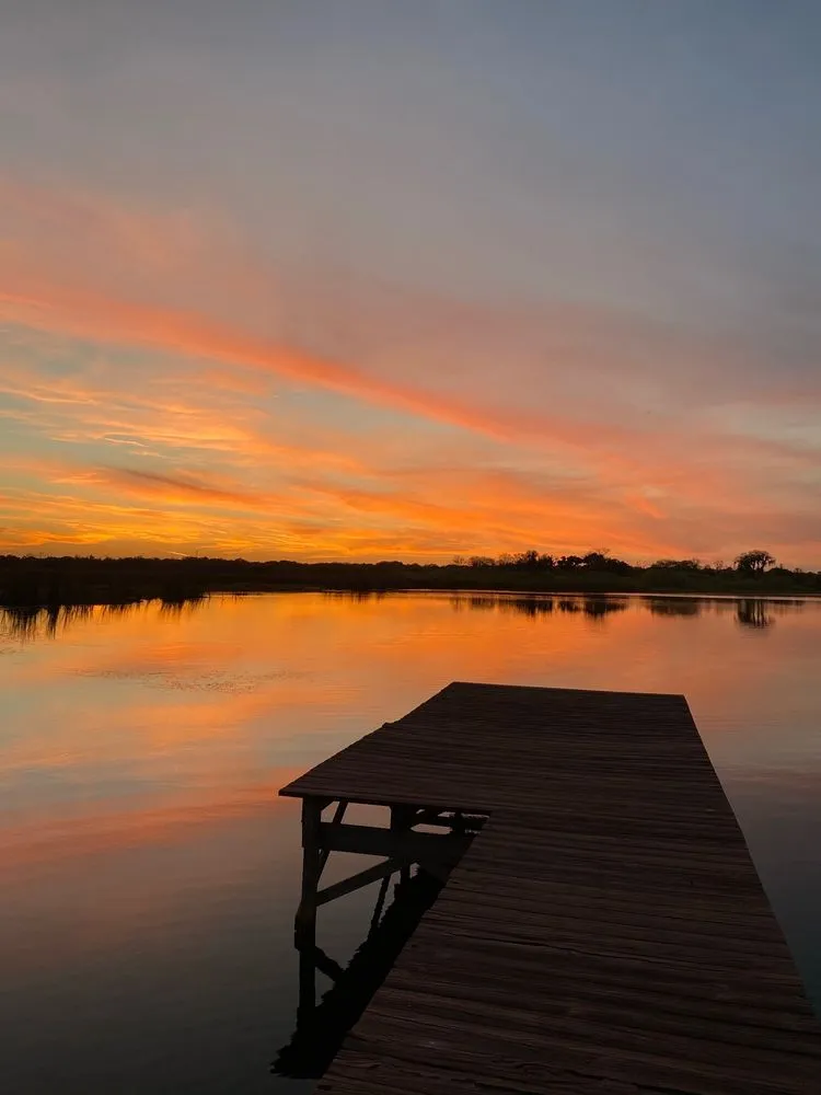 Top-rated yard cleanup service near you across Groveland, FL - Fidelis Property Solutions