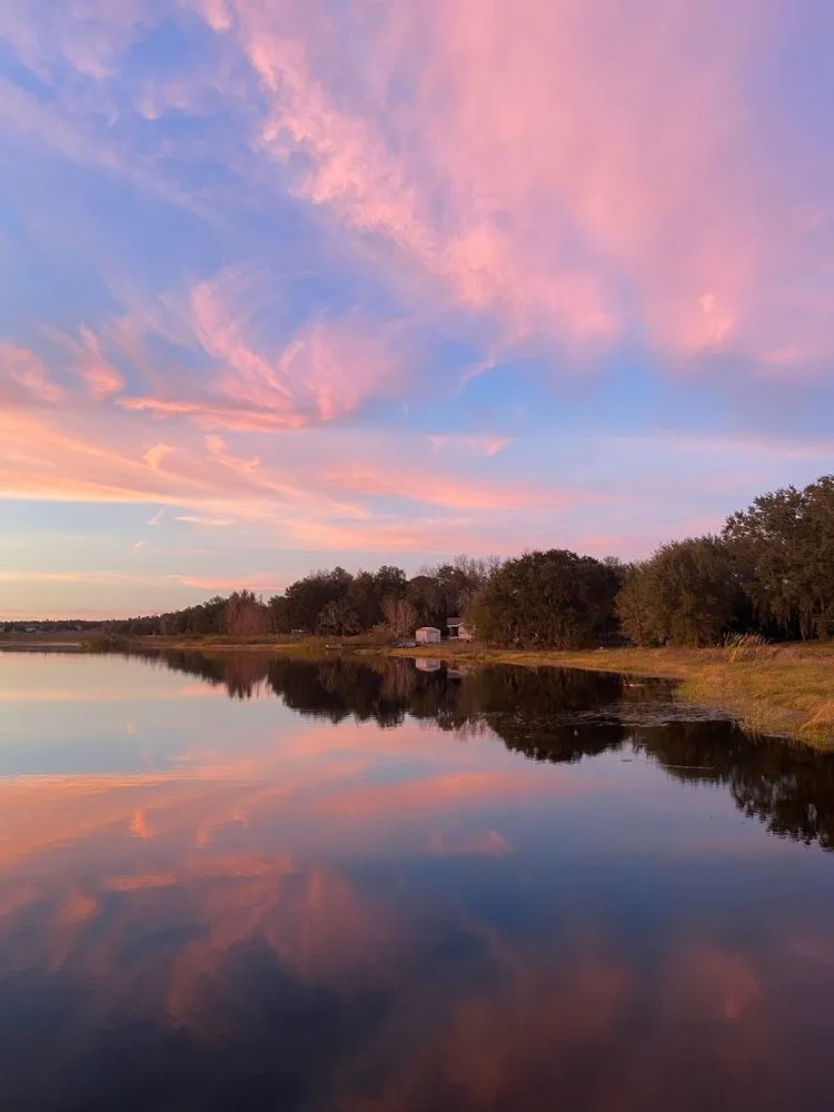 Reliable outdoor landscaping experts serving Groveland, FL - Fidelis Property Solutions