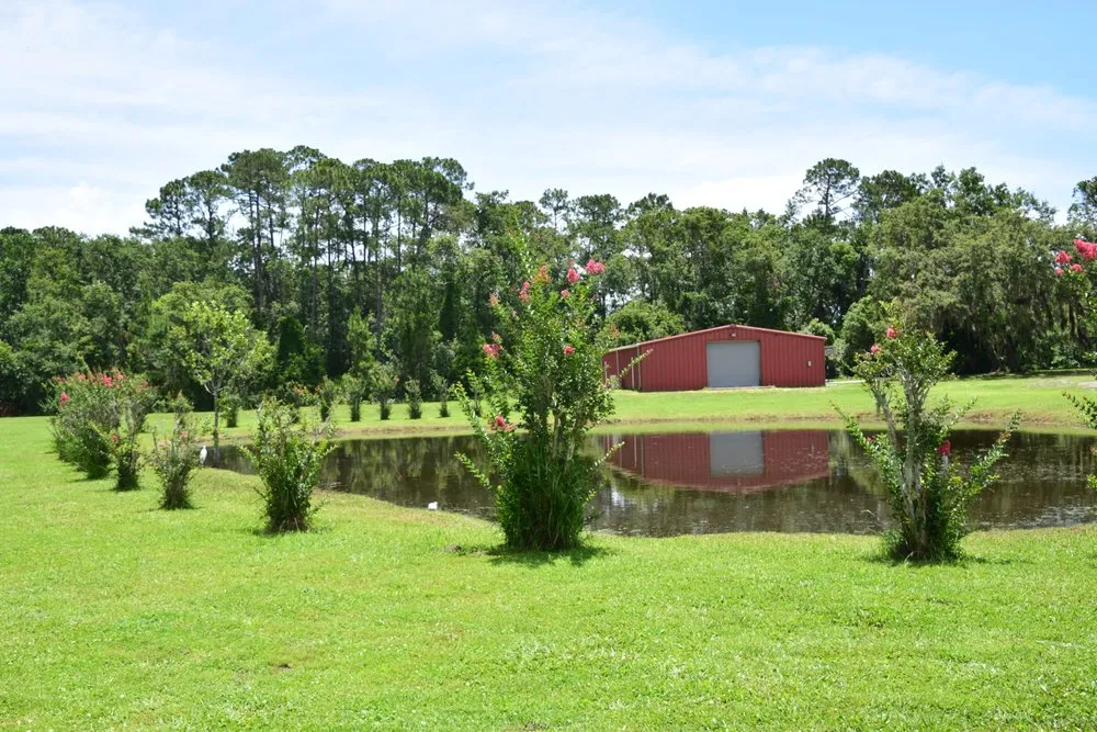 Expert landscape design for year-round maintenance in Groveland, FL by Fidelis Property Solutions