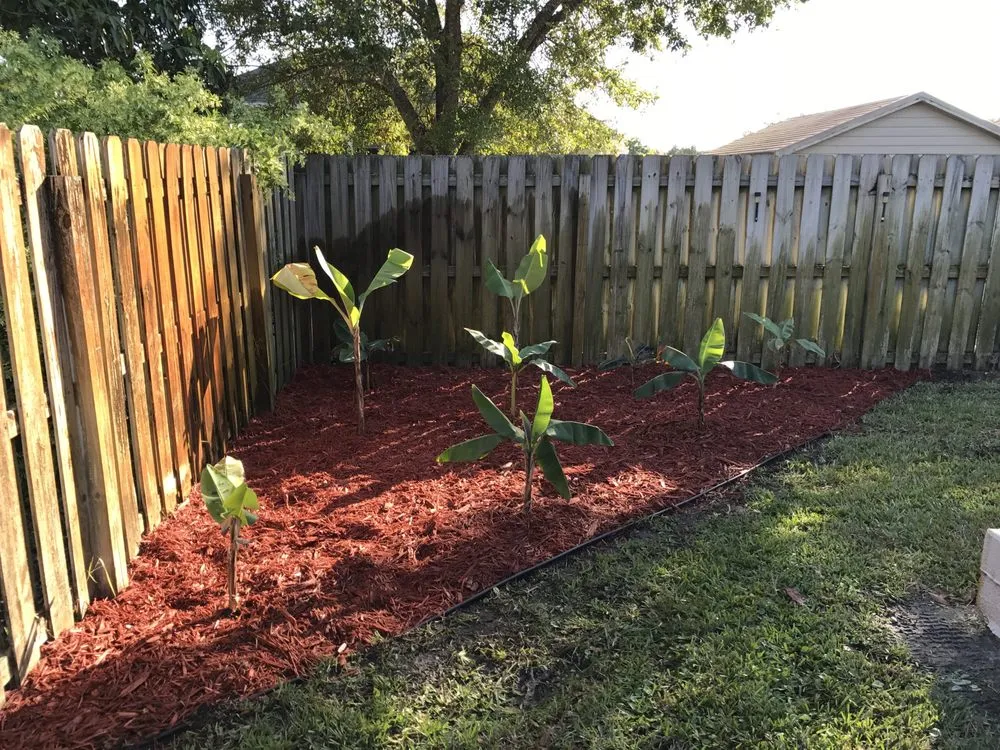 Local yard maintenance in Port Saint Lucie, FL by Fidelity Lawn Care & Landscaping