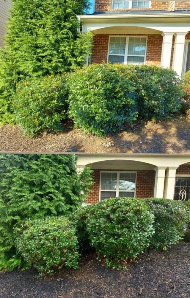 Local lawn mowing service experts serving Cumming, GA - Fido's Landscape Services