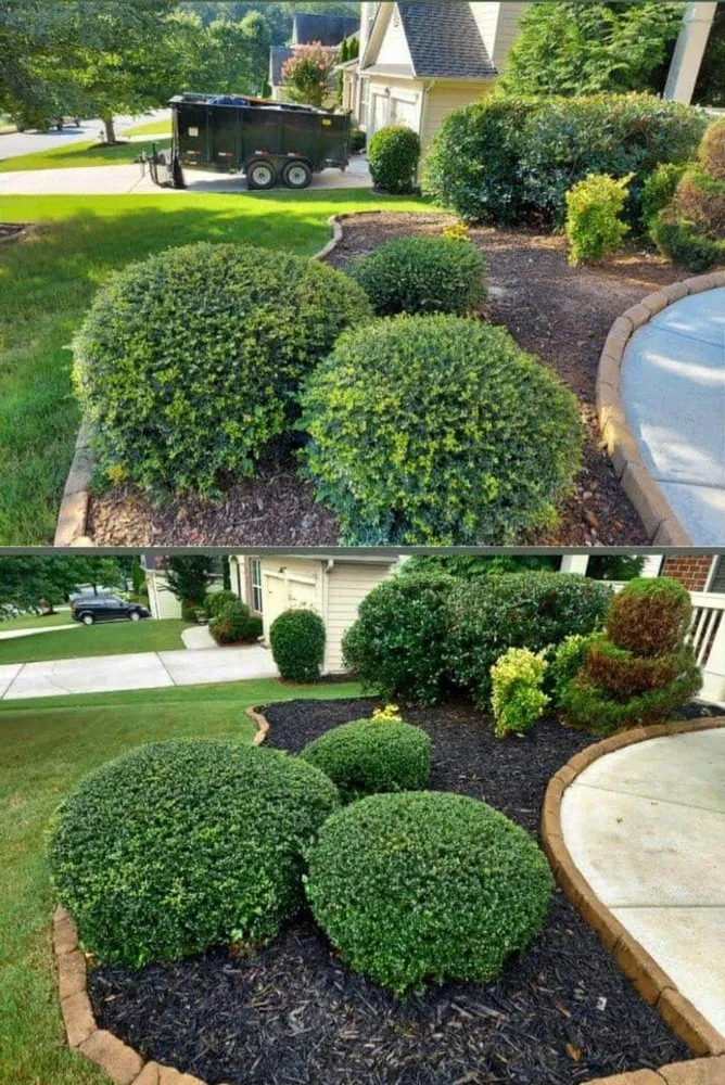 Custom yard cleanup service in Cumming, GA by Fido's Landscape Services