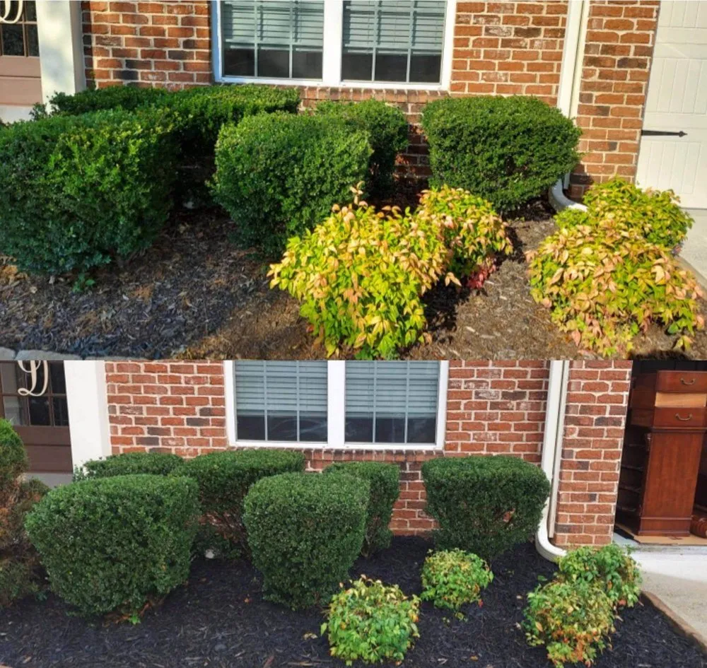 Professional lawn mowing service in Cumming, GA - Fido's Landscape Services