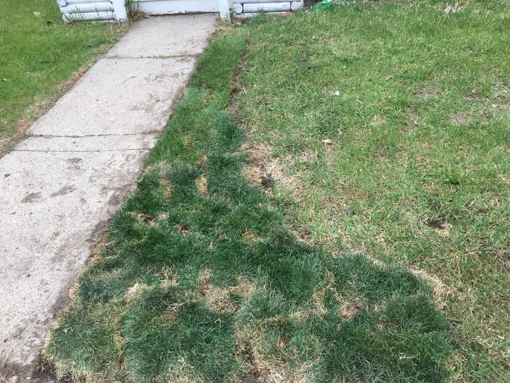 Trusted garden landscaping for beautiful yards across Bismarck, ND - Fiechtner Lawn Care