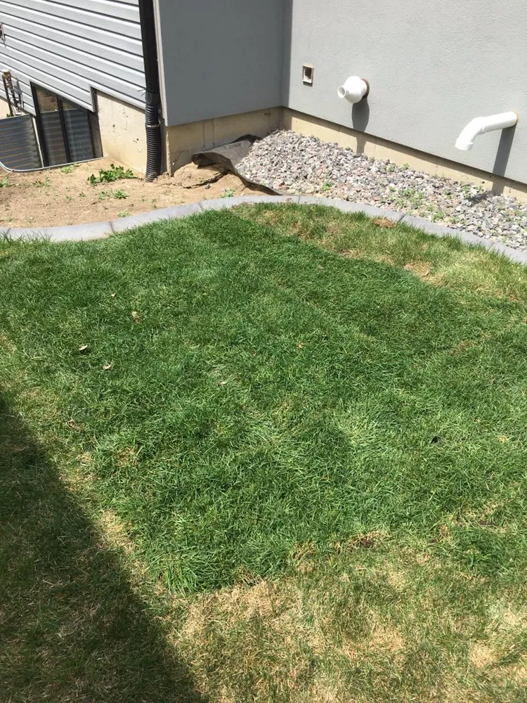Custom lawn care service in Bismarck, ND by Fiechtner Lawn Care