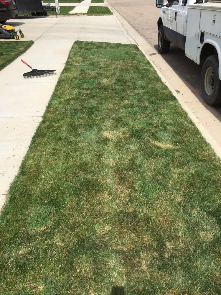 Trusted outdoor landscaping in Bismarck, ND - Fiechtner Lawn Care