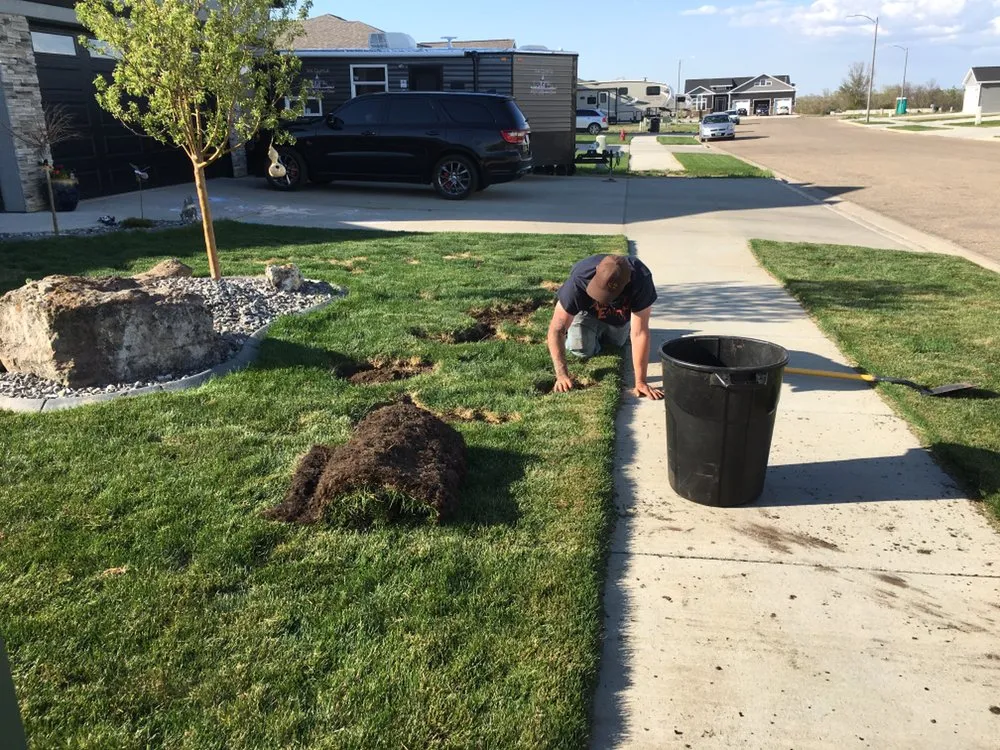 Reliable yard cleanup service for homes across Bismarck, ND - Fiechtner Lawn Care