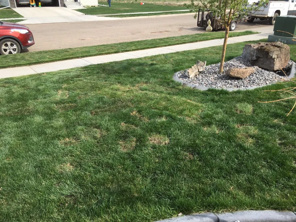 Local landscaping services in Bismarck, ND by Fiechtner Lawn Care