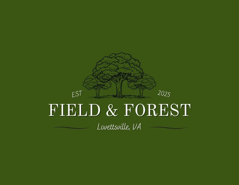 Professional yard cleanup service with custom design in Lovettsville, VA by Field & Forest