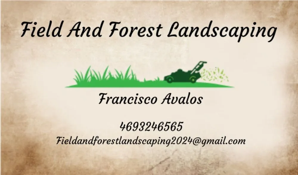 Professional outdoor landscaping in Fort Worth, TX - Field and Forest Landscaping