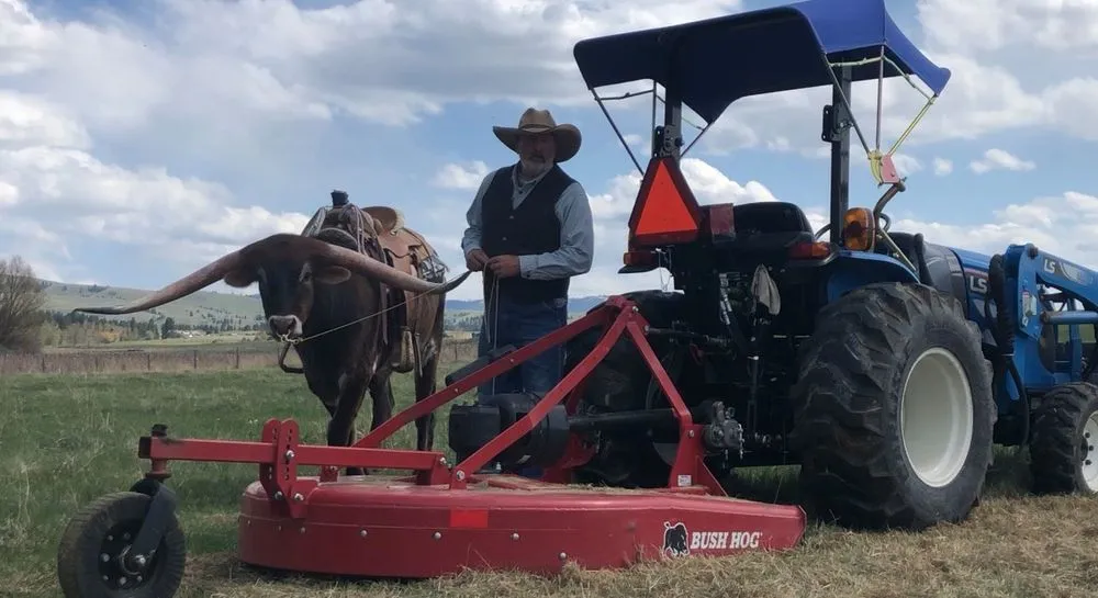 Top-rated yard cleanup service in Corvallis, MT - Field And Lot Mowing