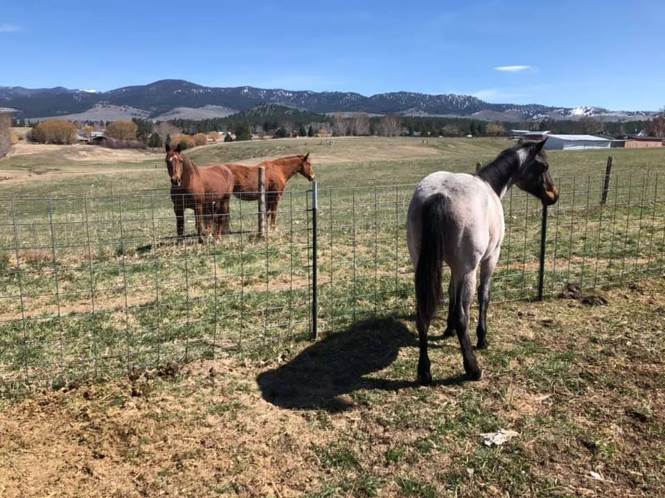 Local landscaping services experts serving Corvallis, MT - Field And Lot Mowing