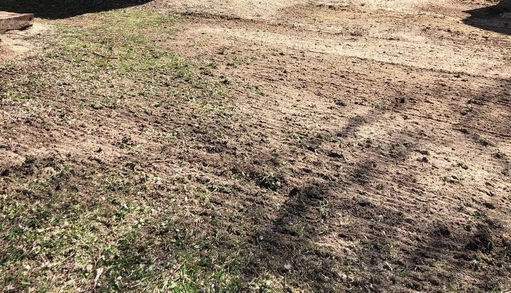 Trusted landscape design in Corvallis, MT by Field And Lot Mowing