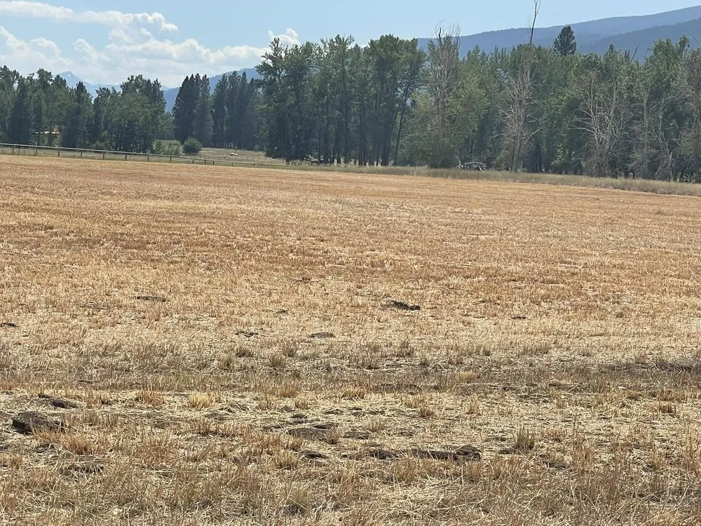 Expert lawn mowing service experts serving Corvallis, MT - Field And Lot Mowing