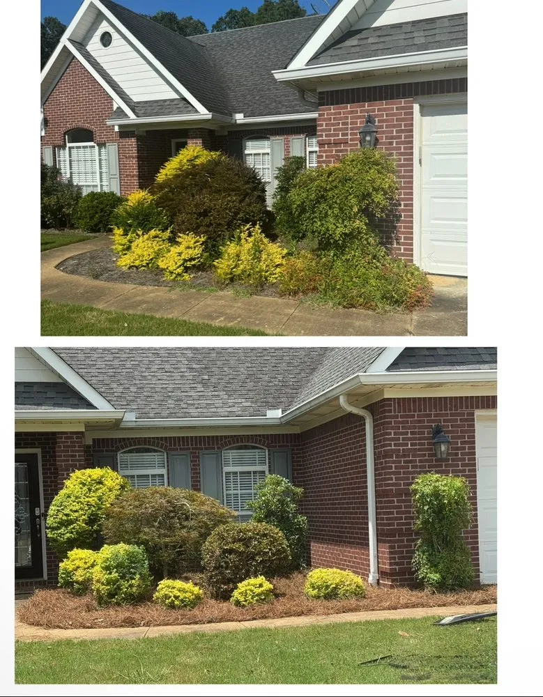 Affordable yard maintenance in Etta, MS by Field Force One USA