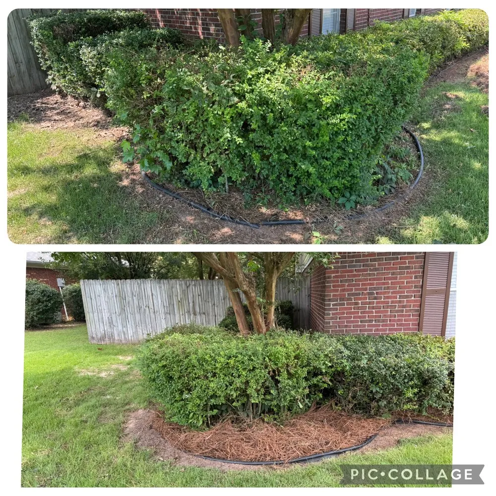 Local residential landscaping near you in Etta, MS by Field Force One USA