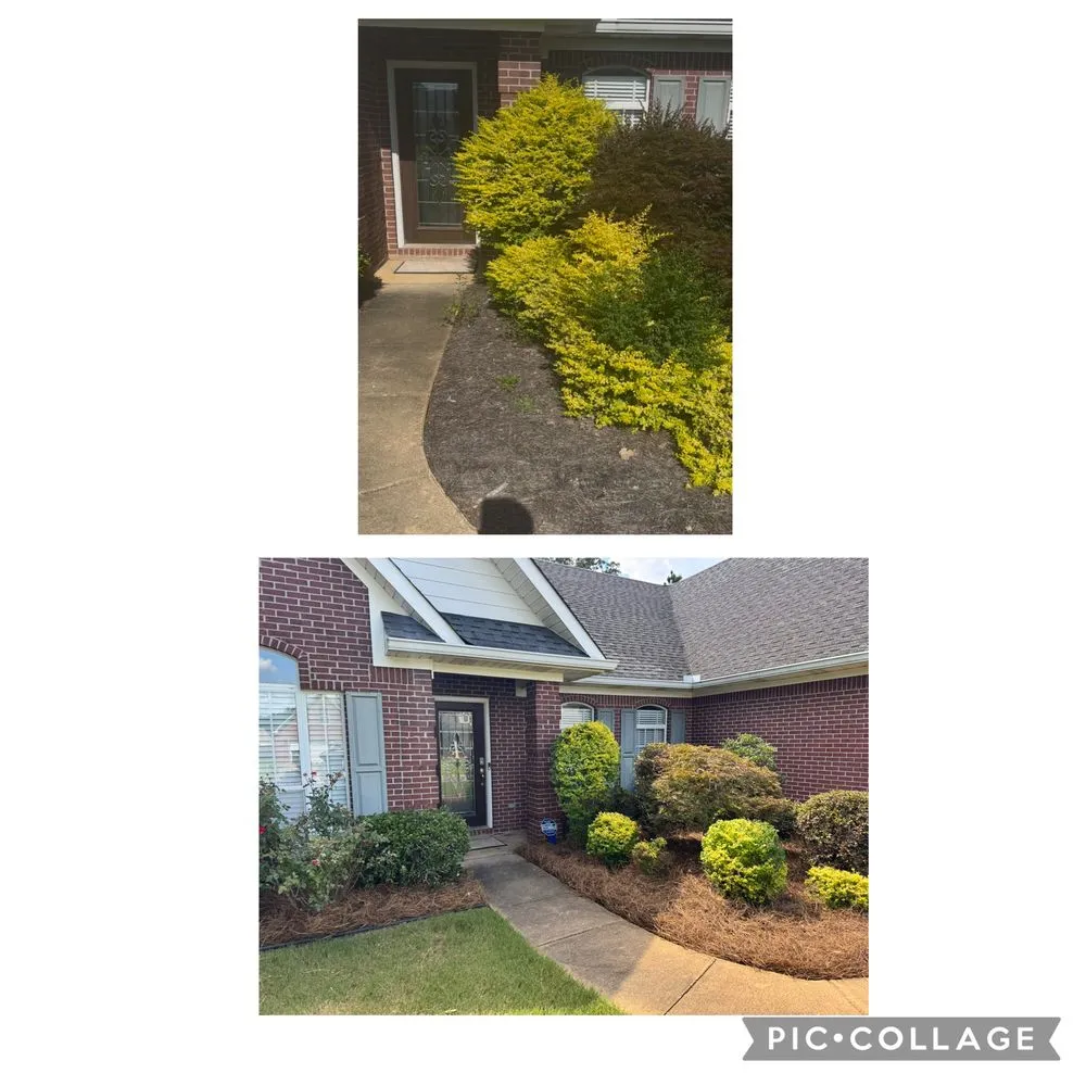 Custom lawn care service in Etta, MS by Field Force One USA