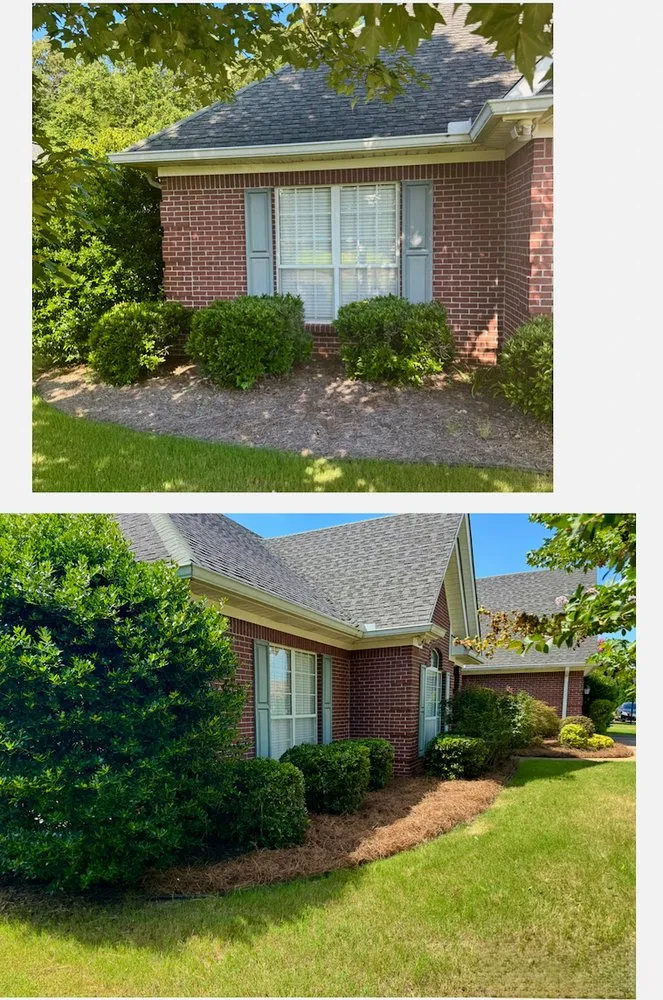 Professional residential landscaping in Etta, MS - Field Force One USA