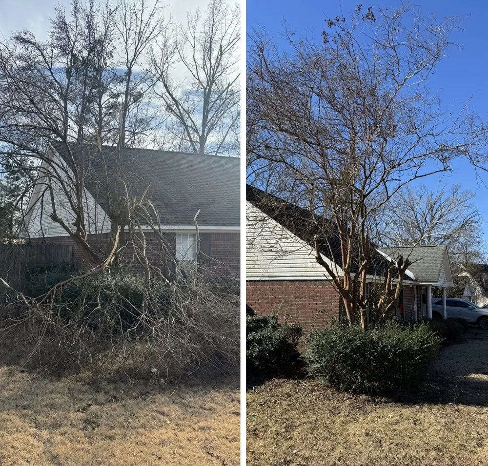 Trusted landscaping services in Etta, MS - Field Force One USA