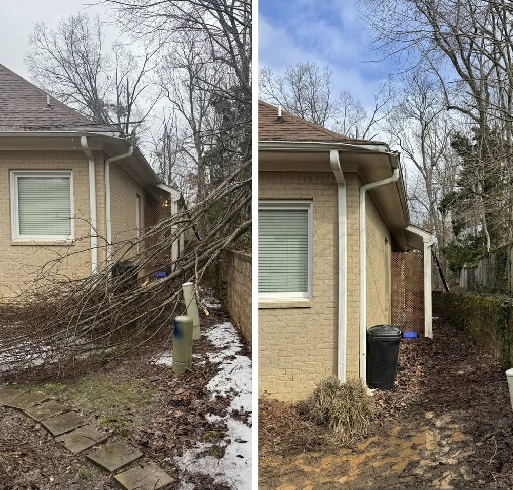 Expert yard maintenance for year-round maintenance in Etta, MS by Field Force One USA