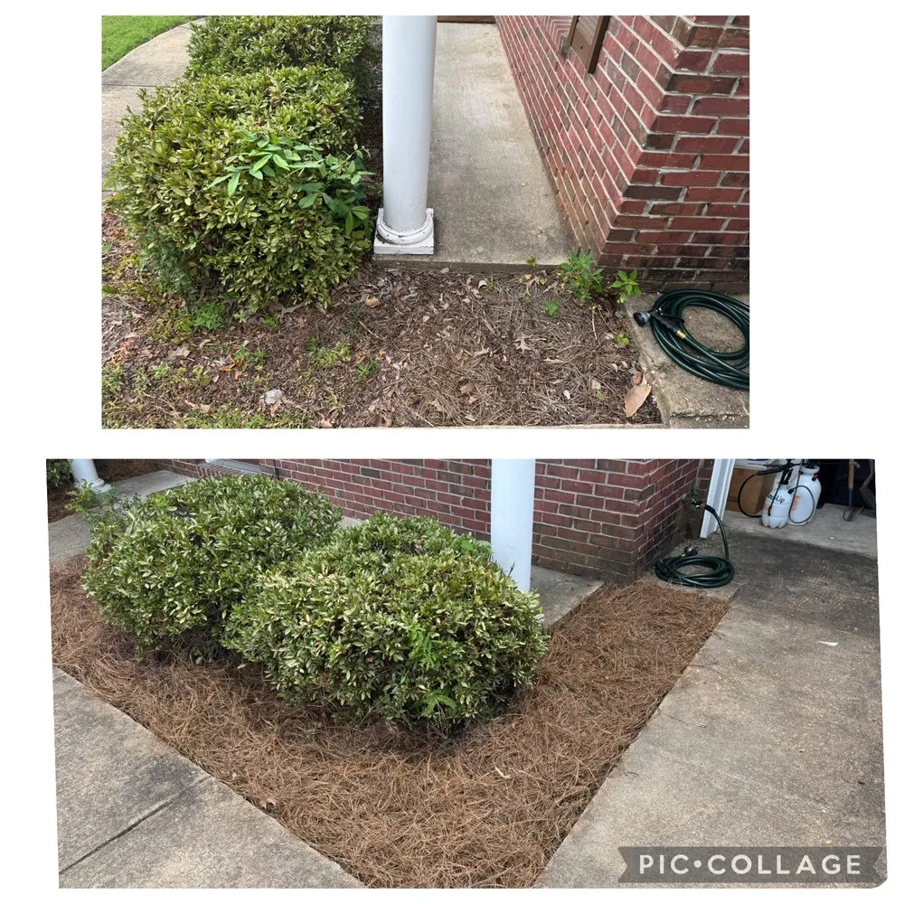 Local outdoor landscaping experts serving Etta, MS - Field Force One USA
