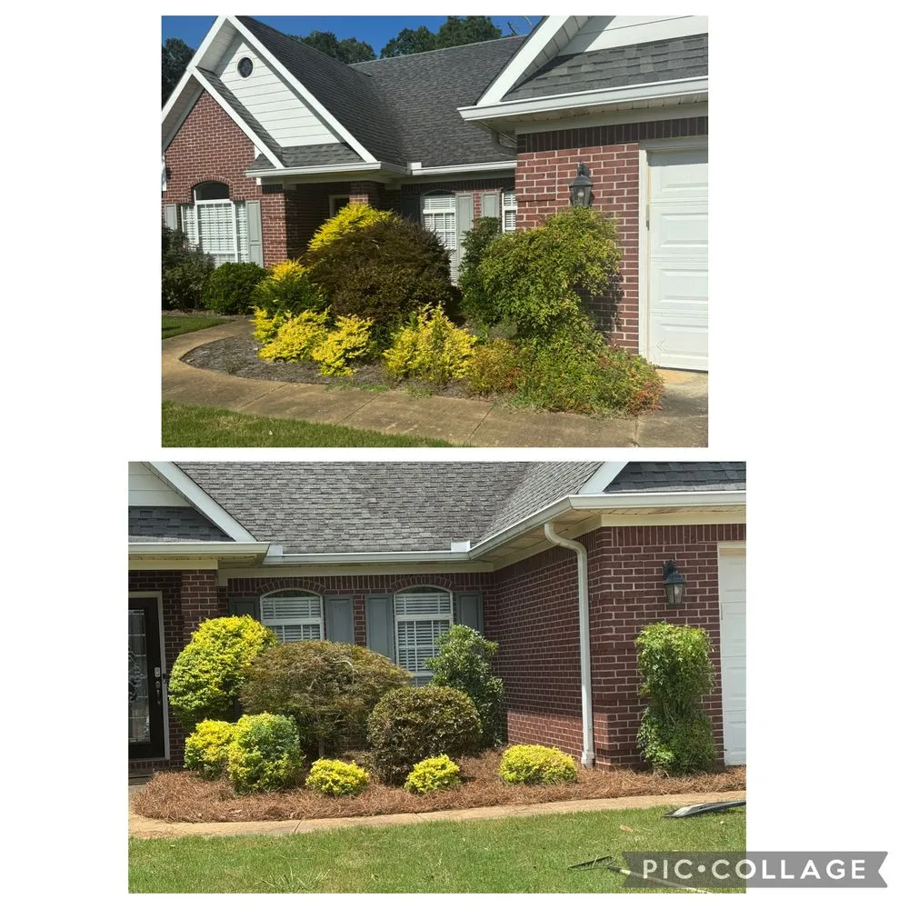 Expert lawn care service in Etta, MS by Field Force One USA