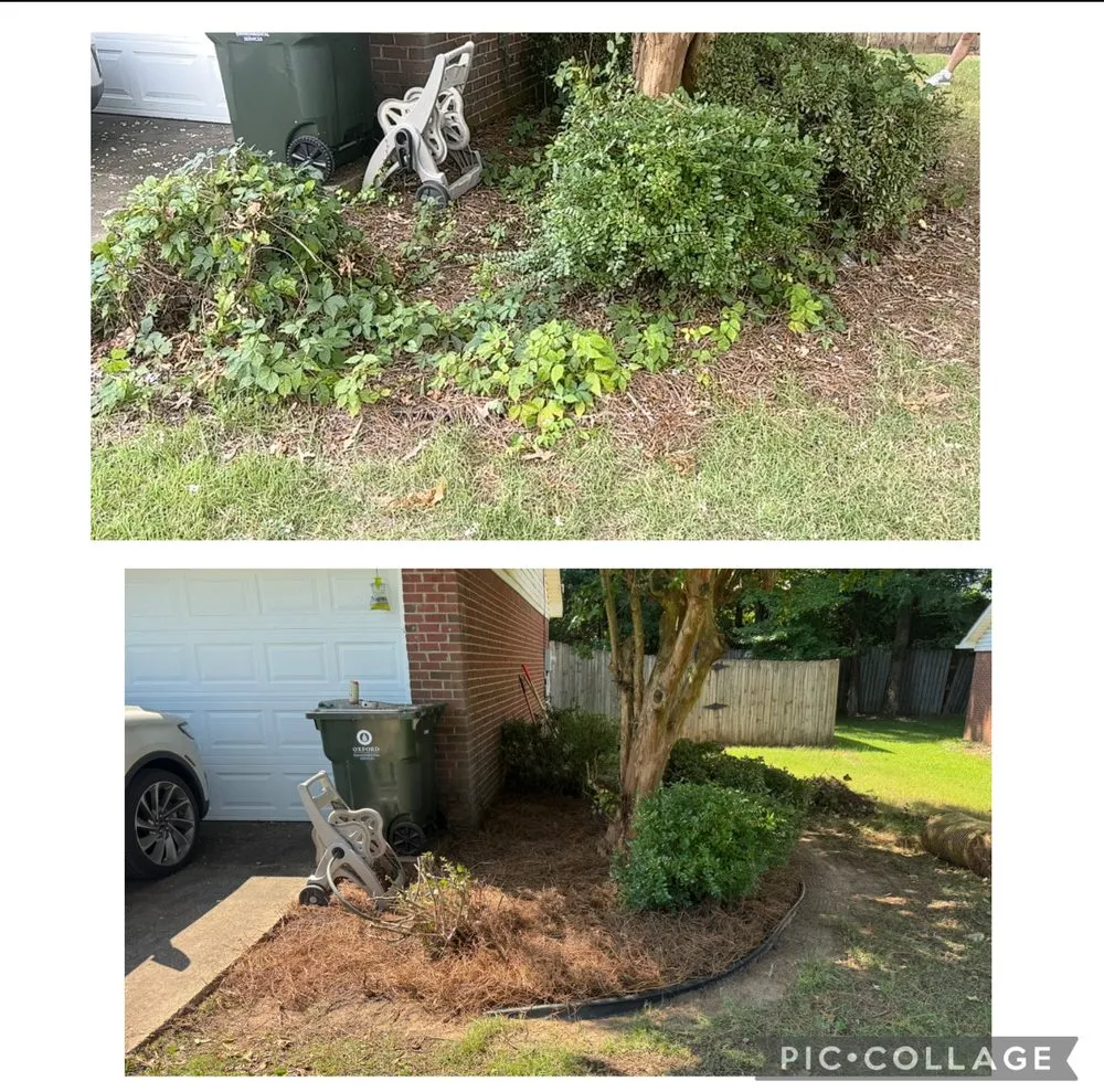 Reliable garden landscaping in Etta, MS - Field Force One USA