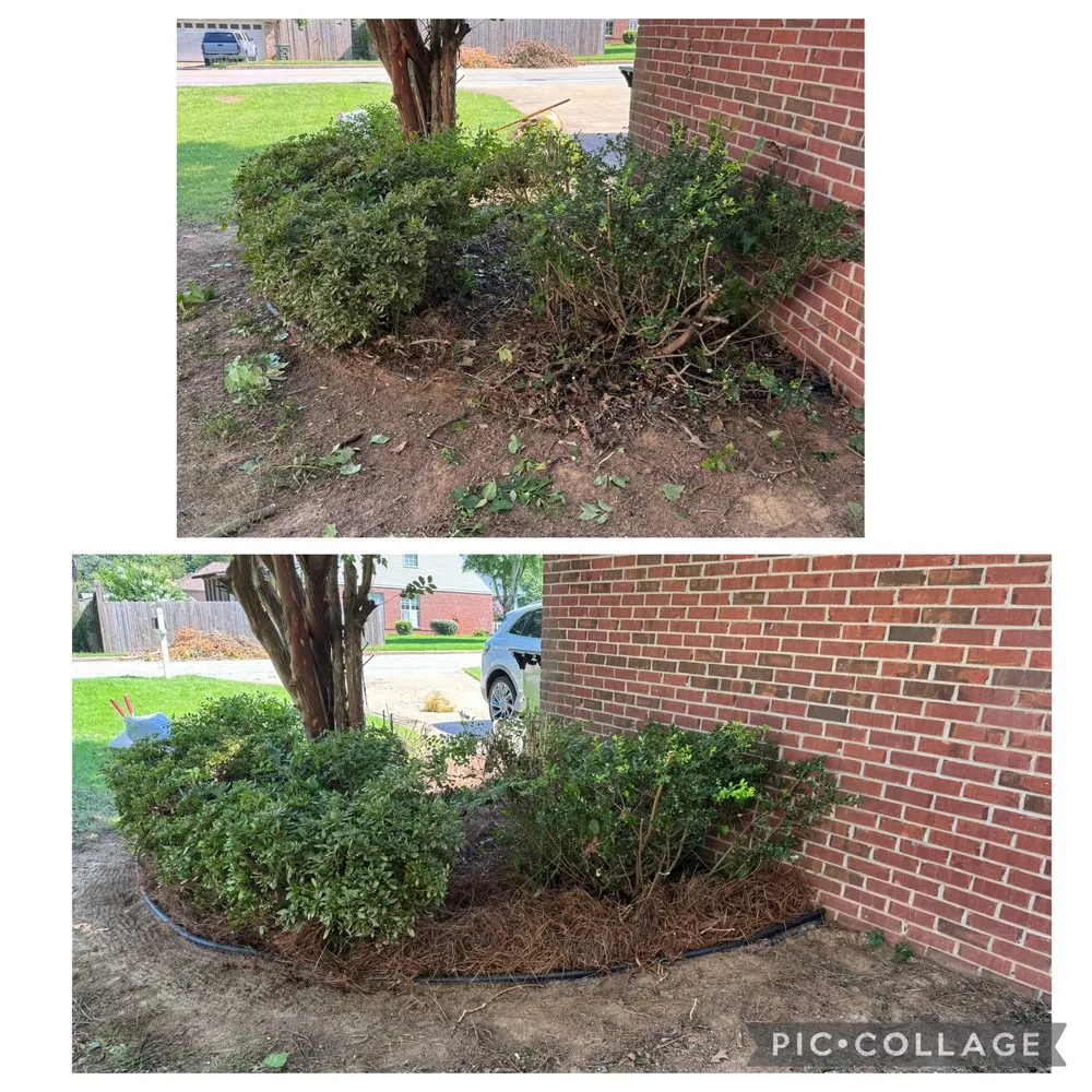 Local outdoor landscaping in Etta, MS by Field Force One USA