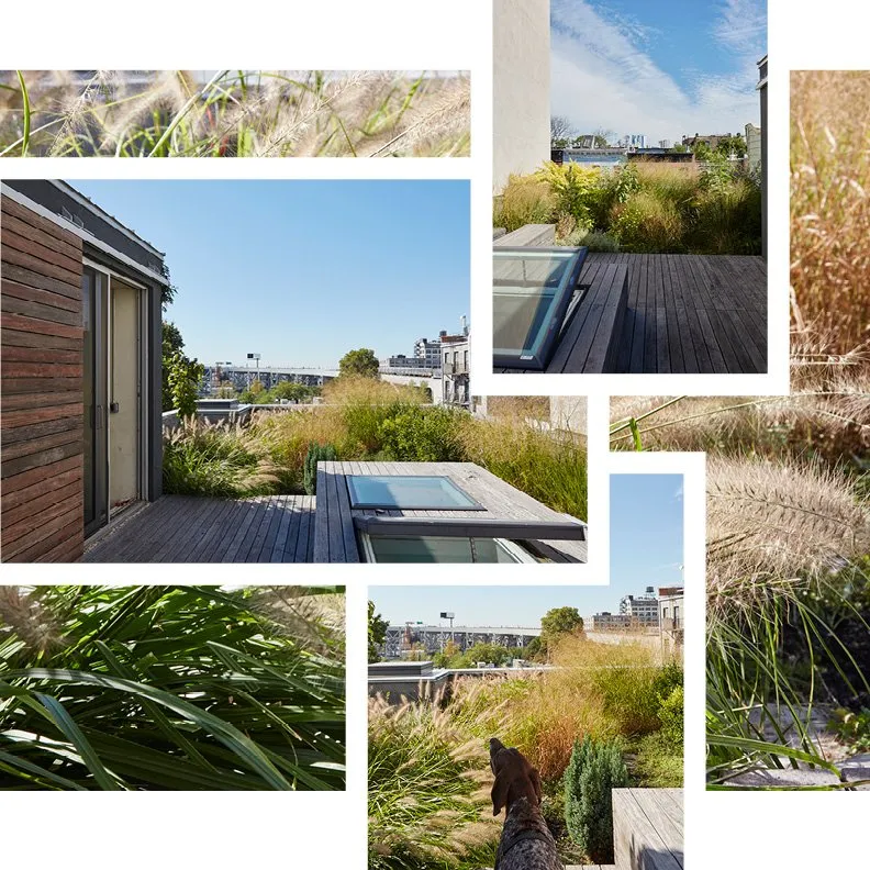 Affordable outdoor landscaping in Brooklyn, NY - Field Form