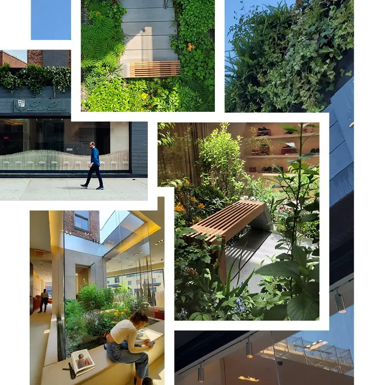 Expert landscape design for year-round maintenance in Brooklyn, NY by Field Form