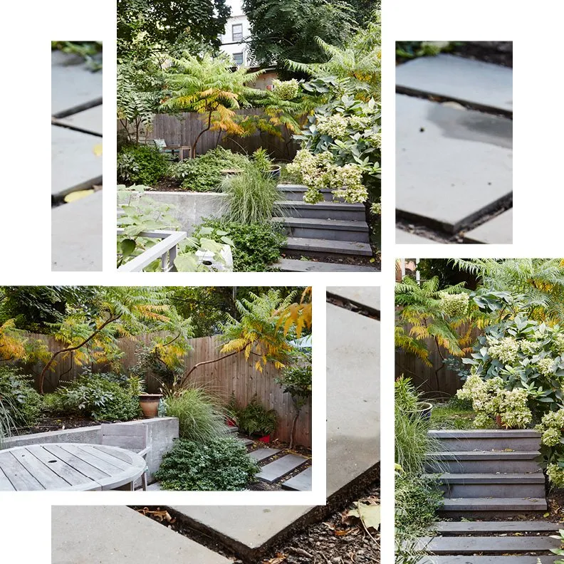 Local lawn care service with custom design in Brooklyn, NY by Field Form