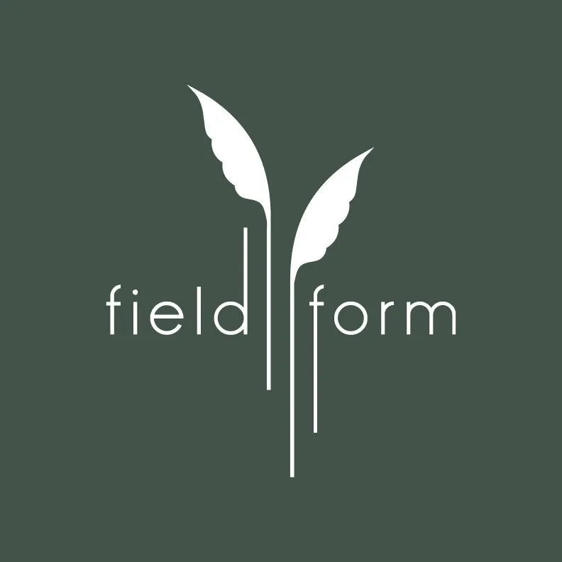 Affordable outdoor landscaping in Brooklyn, NY by Field Form