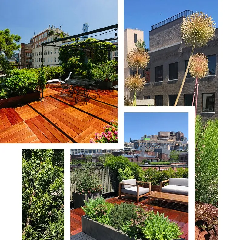 Top-rated lawn care service in Brooklyn, NY by Field Form