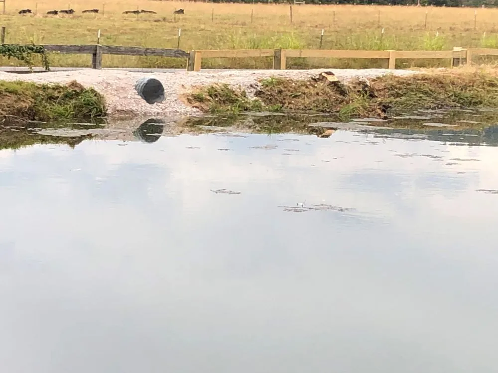 Expert landscaping services in Dalton, GA by Field Global Enterprises