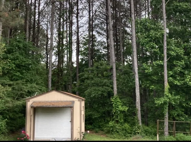 Reliable yard cleanup service in Dalton, GA - Field Global Enterprises