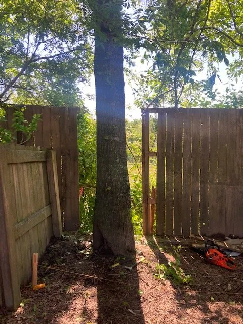 Trusted landscape design in Dalton, GA - Field Global Enterprises